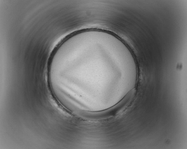 X0000112730888200909101449