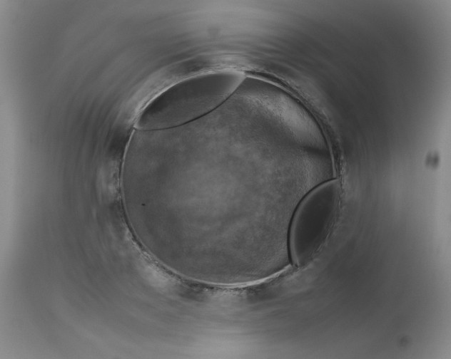 X0000112730889200909101449