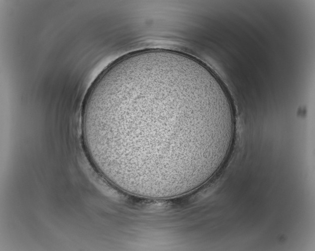 X0000112730891200909101449