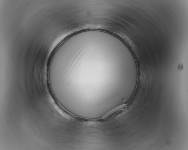 X0000112730894200909101449