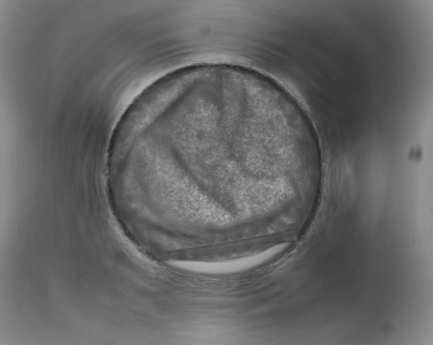 X0000112730895200909101449