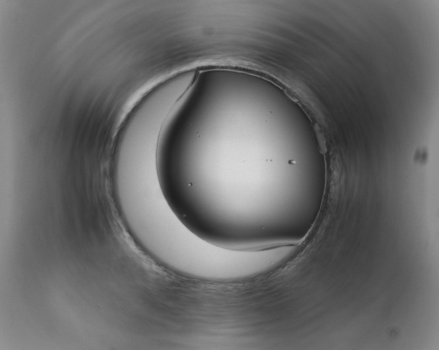 X0000112730896200909101449