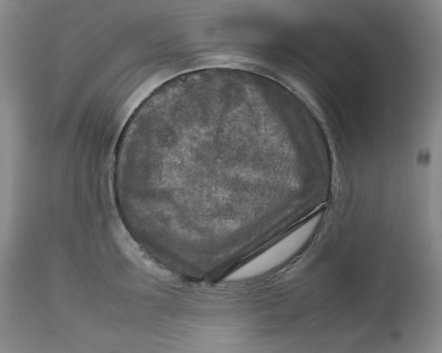 X0000112730899200909101449