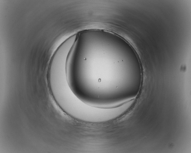 X0000112730901200909101449