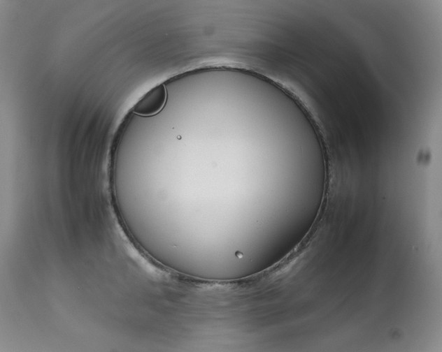 X0000112730902200909101449