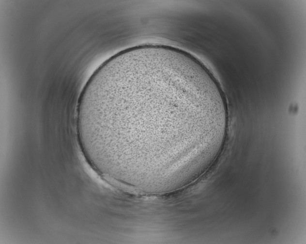 X0000112730903200909101449