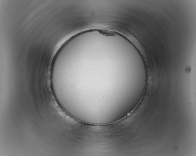 X0000112730904200909101449