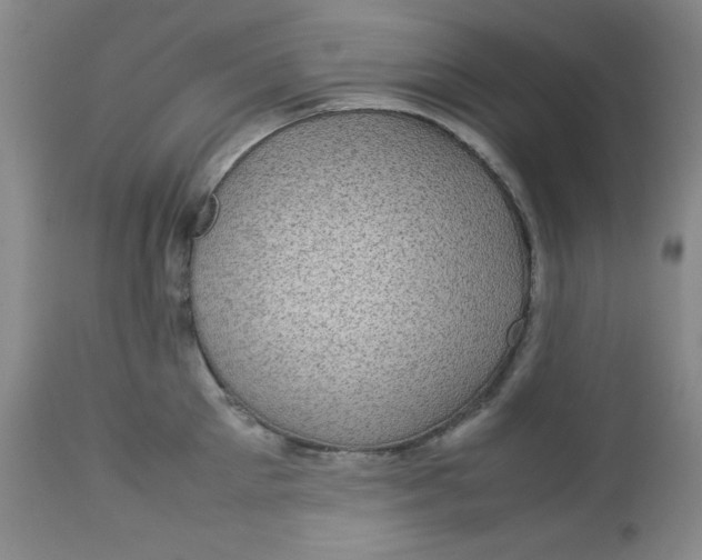 X0000112730905200909101449