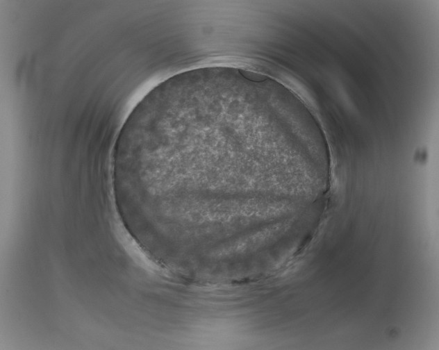 X0000112730907200909101448