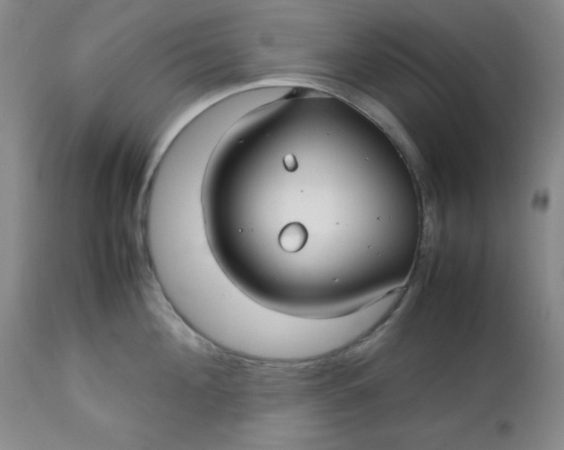 X0000112730908200909101448