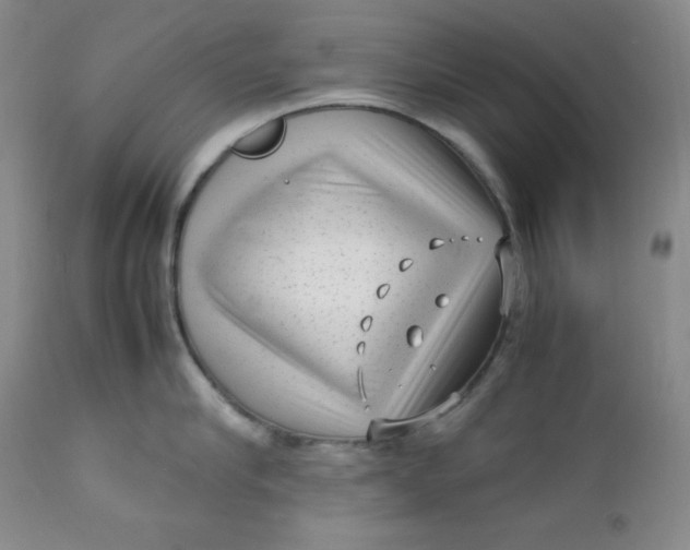 X0000112730910200909101448