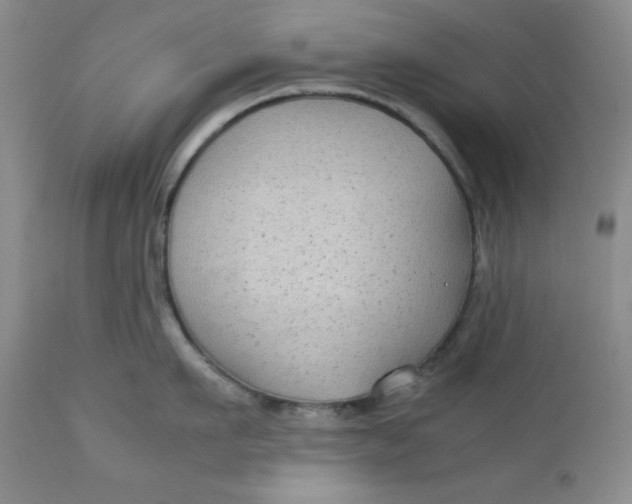 X0000112730911200909101448