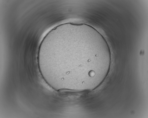 X0000112730912200909101448