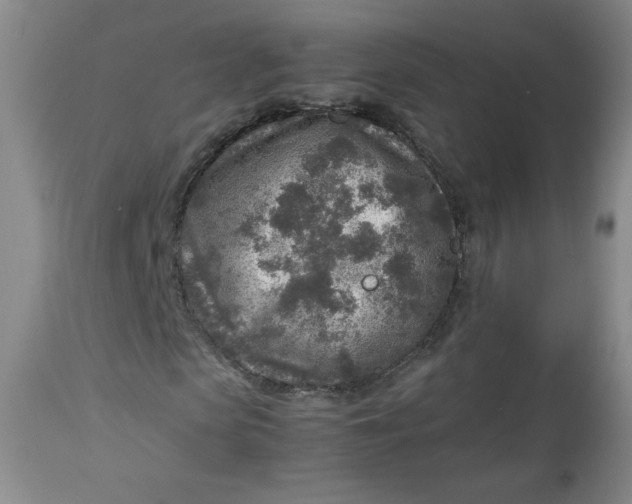 X0000112730913200909101448