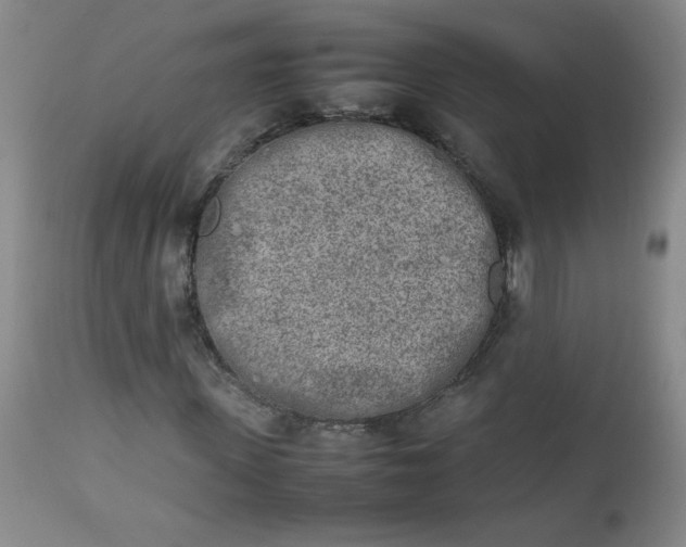 X0000112730915200909101448