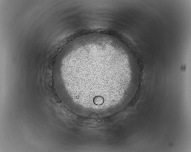 X0000112730917200909101448