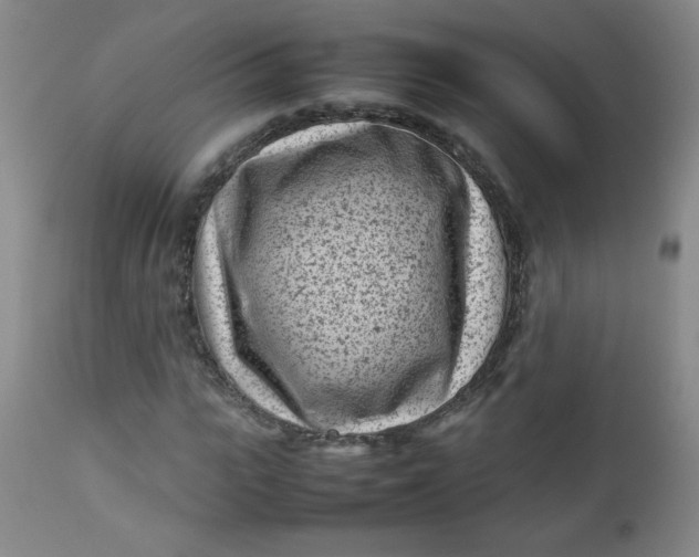 X0000112730919200909101448