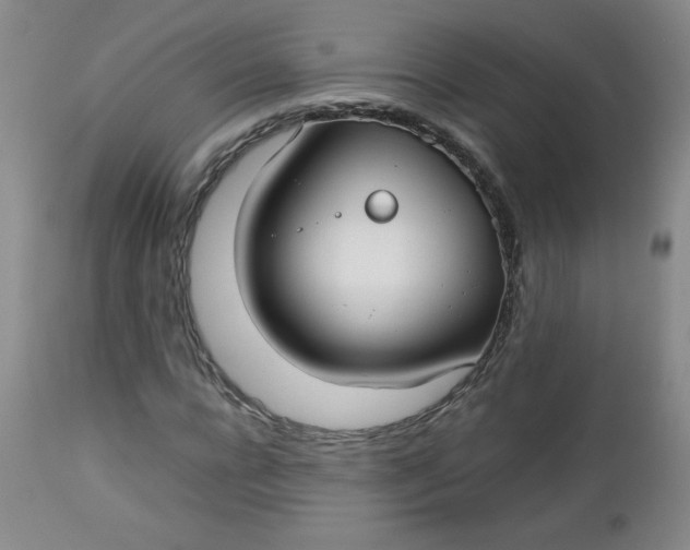 X0000112730920200909101448