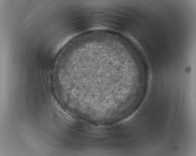 X0000112730921200909101448