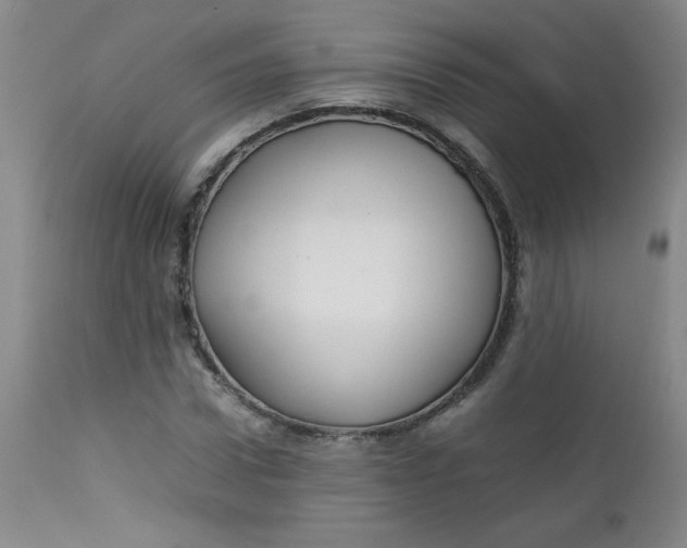 X0000112730922200909101448