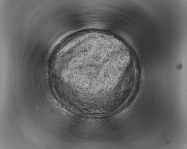 X0000112730923200909101448