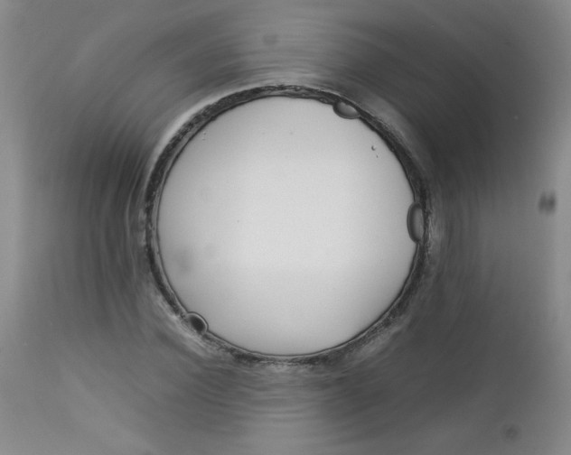 X0000112730924200909101448