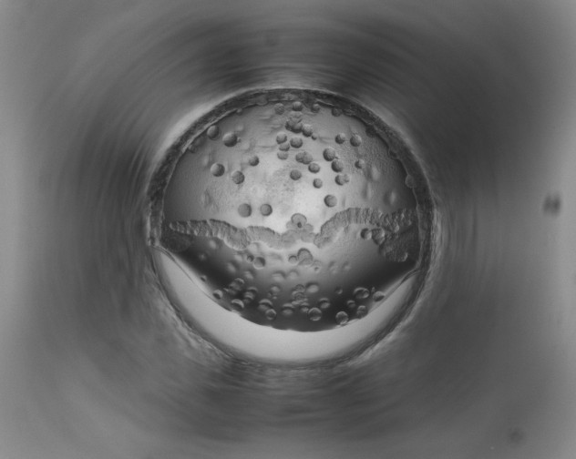 X0000112730925200909101448