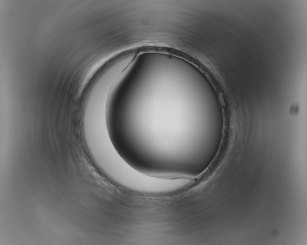 X0000112730926200909101448