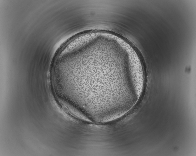 X0000112730928200909101448