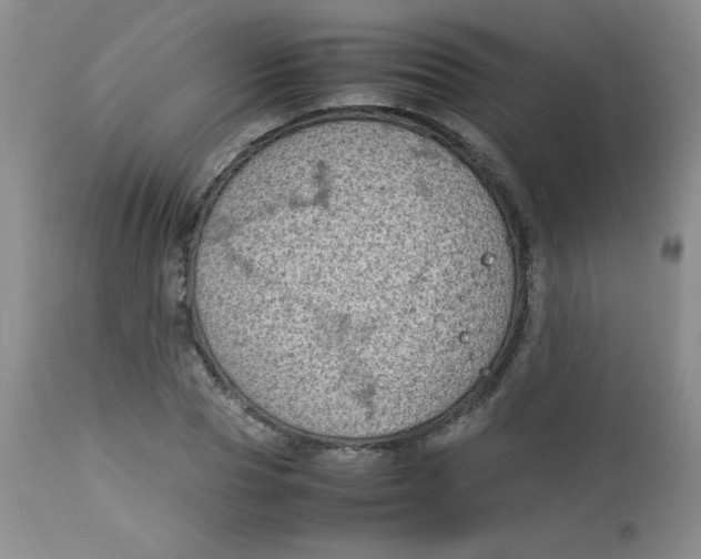 X0000112730929200909101448