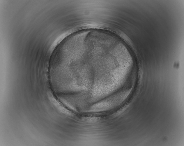 X0000112730930200909101448