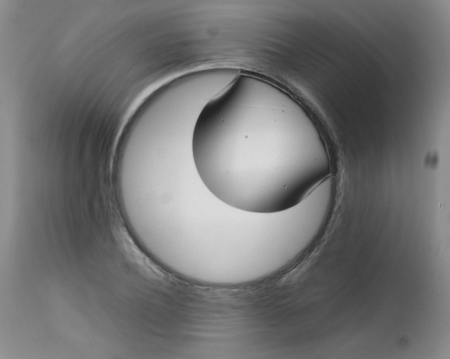 X0000112730932200909101448