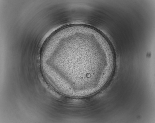 X0000112730933200909101448