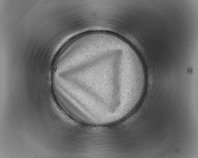 X0000112730934200909101448