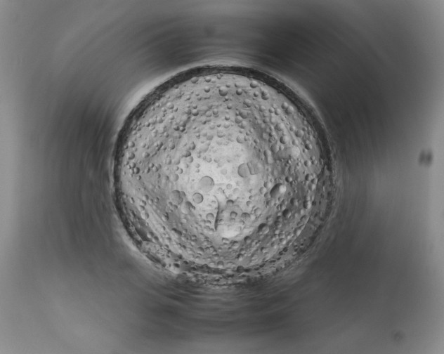 X0000112730935200909101448