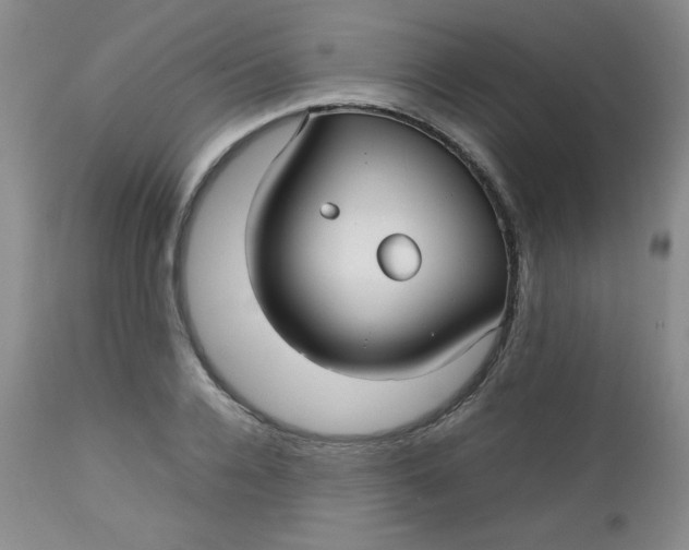 X0000112730936200909101448