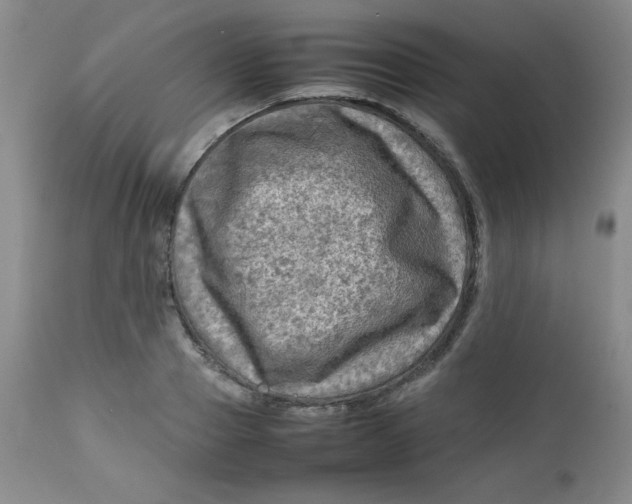 X0000112730937200909101448