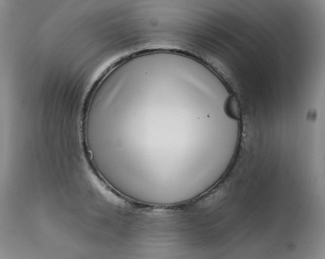 X0000112730942200909101448