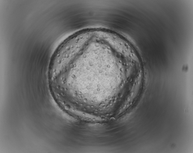 X0000112730943200909101448