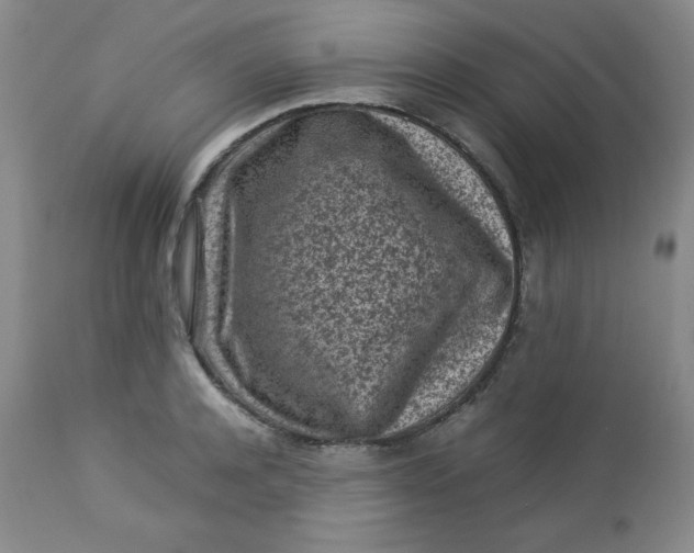 X0000112730944200909101448