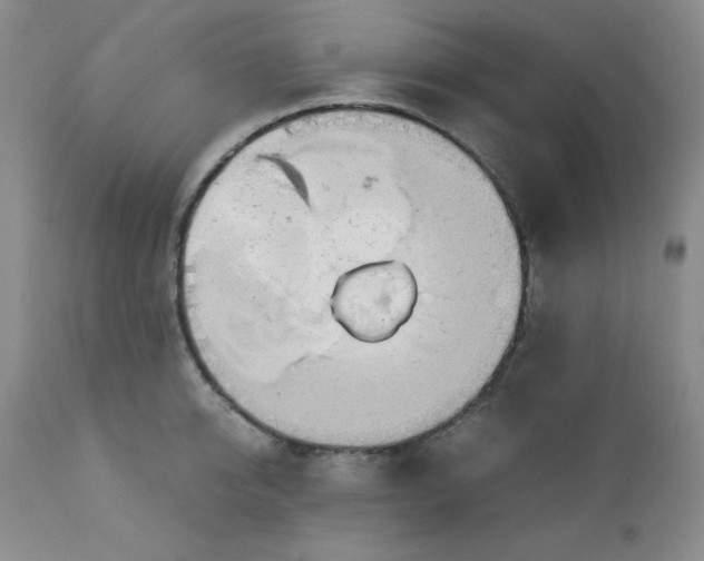 X0000112730950200909101448