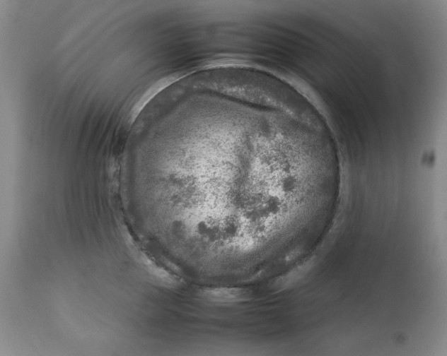 X0000112730953200909101448