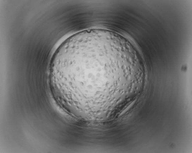 X0000112730955200909101448