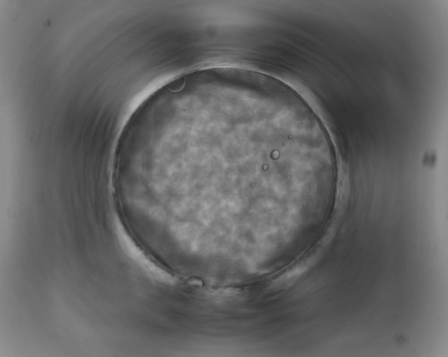 X0000112730957200909101448