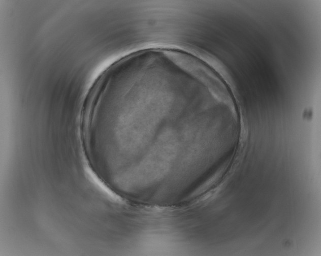 X0000112730958200909101448