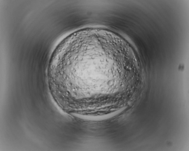 X0000112730959200909101448