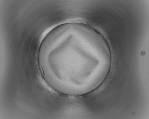 X0000112730960200909101448