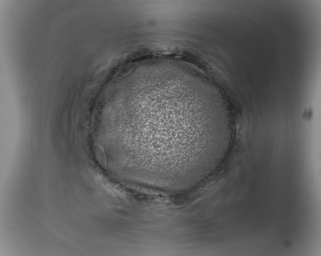 X0000112730961200909101448