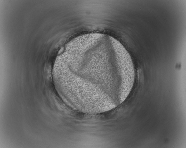 X0000112730963200909101448