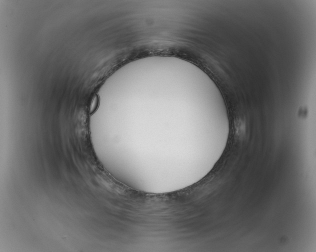 X0000112730964200909101448